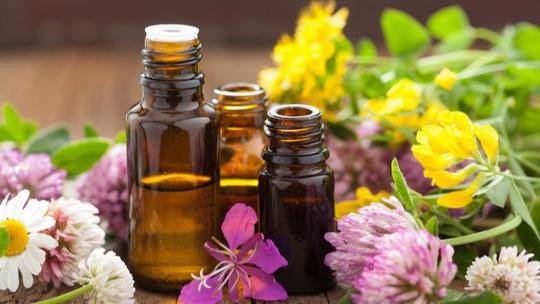 Acne
Wrinkles
Skin
Skincare
oils
essential
