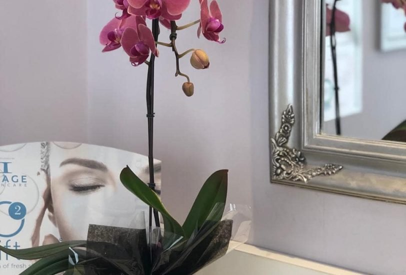 Intimate Wellness